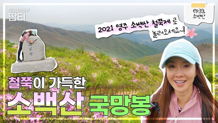 2021 영주 소백산 철쭉제! 만개한 철쭉 보러 함께 국망봉 코스 어때요?