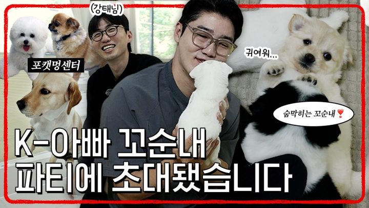 설쌤, 포캣멍센터 방문 후 아기 강아지 중독되다?! 🐶 | 설채현 행동학 수의사