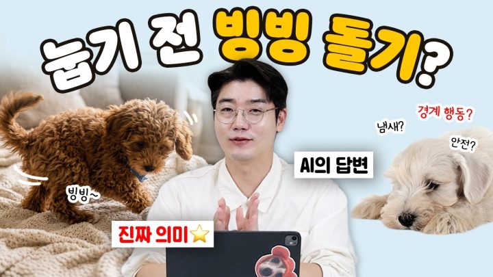 강아지가 눕기 전에 빙빙 도는 진짜 이유 ⭐️ (+ 반전 주의) | 설채현 행동학 수의사