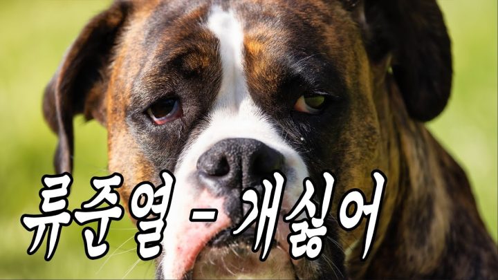 [MV] 류준열 - 개싫어