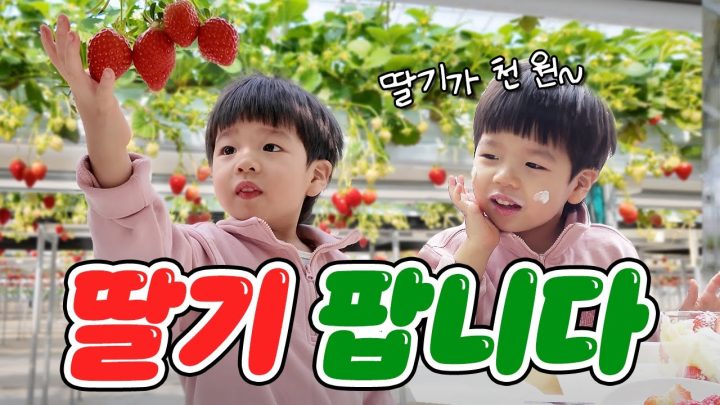 딸기밭 그 사나이