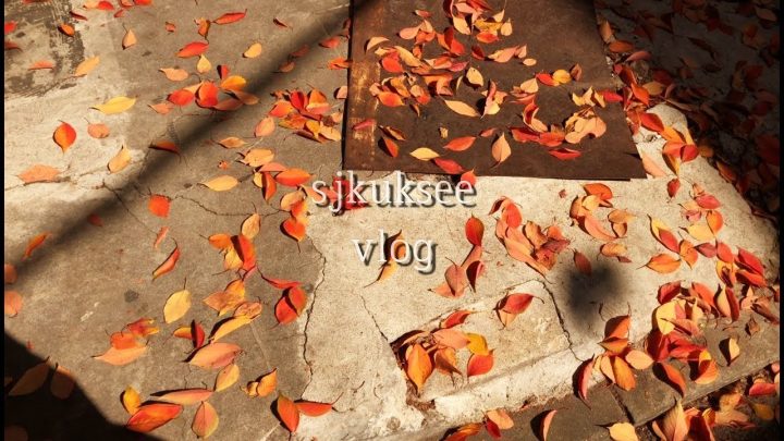 [SUB] 진사와 함께 보내는 가을날. 꽃 시장 가기. 당근케이크, 깻잎 오징어순대, 바질 쉬폰케이크 만들기. 삼청동 나들이.