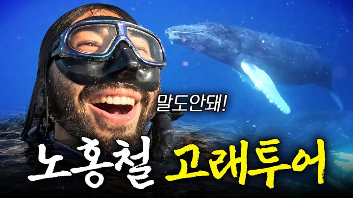 전설 속 노래하는 고래 찾으러 태평양으로 떠난 노홍철(8시간 대장정)