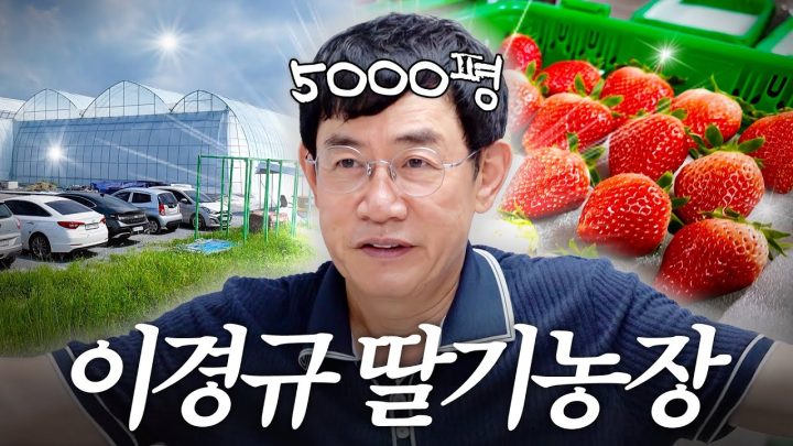 이경규 충남에 숨겨둔 5000평짜리 딸기농장 대공개 (충격 딸기 가격, 여름 제철)