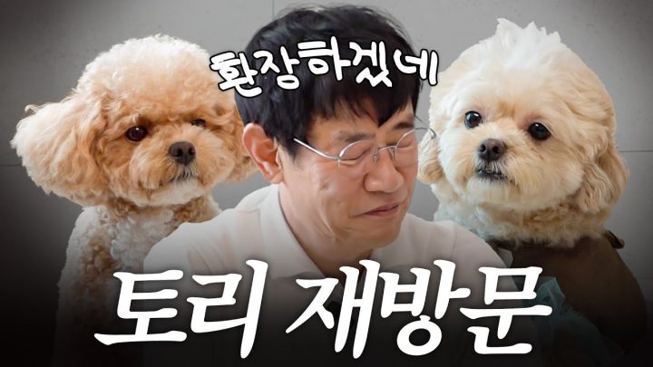 천재견 토리 앞에서 개망신당한 개버지 이경규