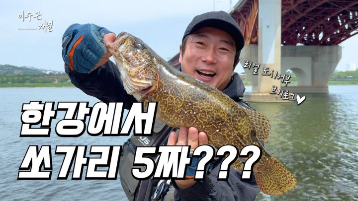 [이수근채널] 한강에서 쏘가리 5짜??? (리얼 도시어부 브이로그♥)