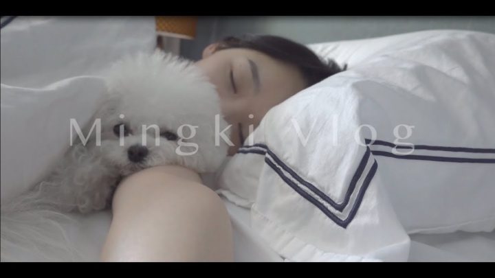 브이로그 첫 편집 그리고 시작
