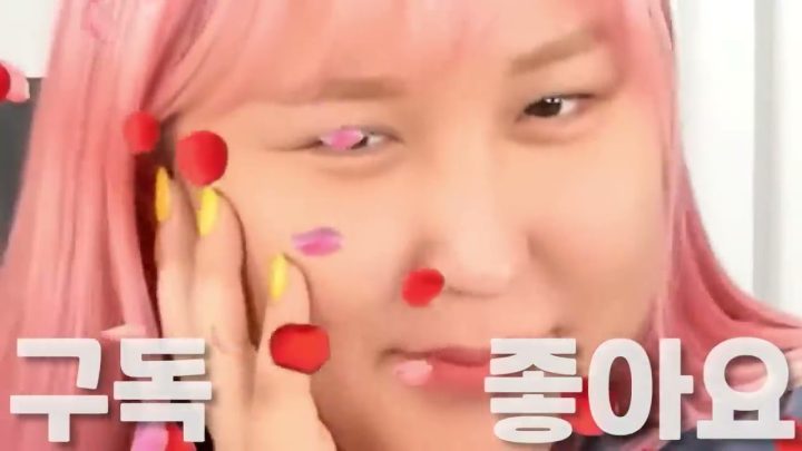 백두혈통 🔥신기루X풍자🔥