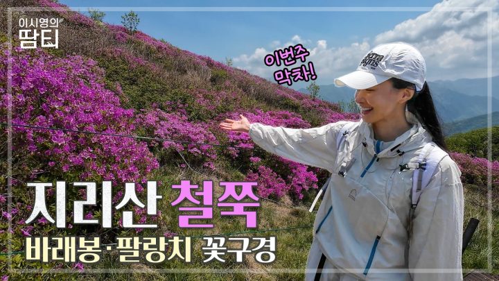 지리산 바래봉 철쭉🌸구경 다녀왔어요! #지리산 #바래봉 #팔랑치 #이시영 #leesiyoung