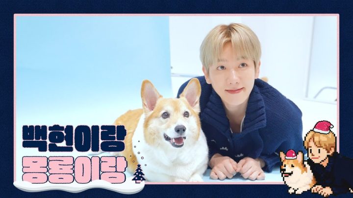 🎄🐶백현이랑 몽룡이랑🐶🎄｜백현 (BAEKHYUN)
