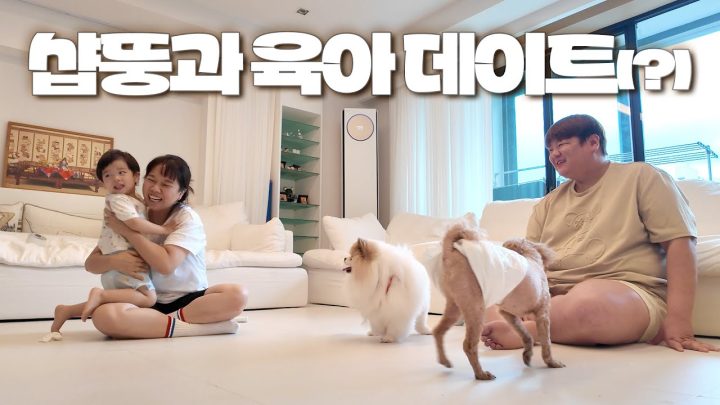 귀여운 준범이와 귀여운 강아지들