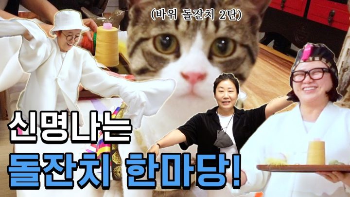 (ENG)고양이 돌잔치 ep.02 🎂 ㅣ 돌잔치는 이용당했군요. 바위보다 더 신난 인간들🤦