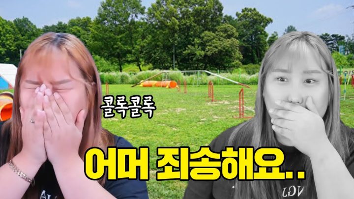 강아지랑 애견운동장을 갔는데..