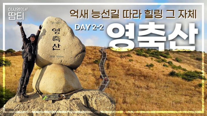 🌾영남알프스 Day 2-2ㅣ억새가 춤추고 바람은 떠밀고 구름이 쫓는 60만평의 신불평원! 영축산 가는 길, 엄청난 감동의 물결을 보았어요✨