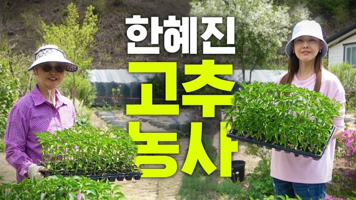 엄마랑 대판 싸운(?) 한혜진의 시골일기 | 10만원빵 게이트볼, 고추 농사, 꽃게먹방