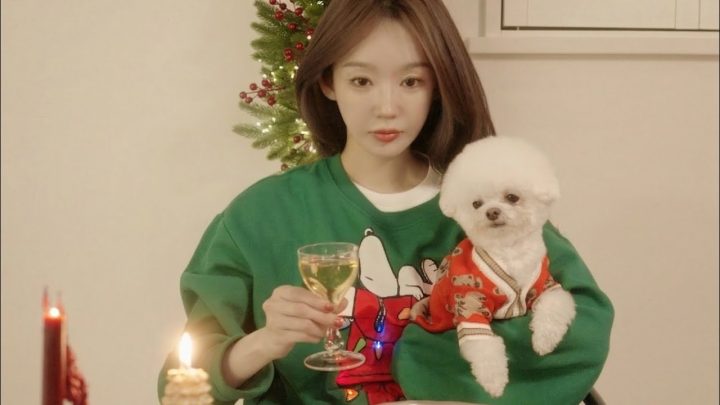 약속 잃은 외향인의 연말