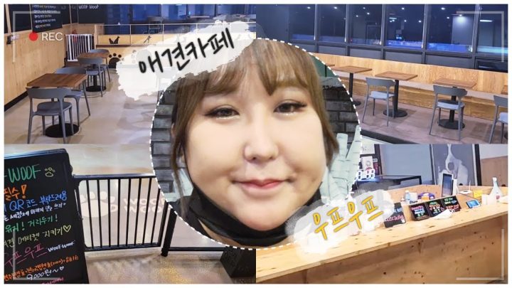 카페오픈했어욤! 제 가게를 소개합니다 l 풍자애견카페 애견카페 우프우프❤🐶
