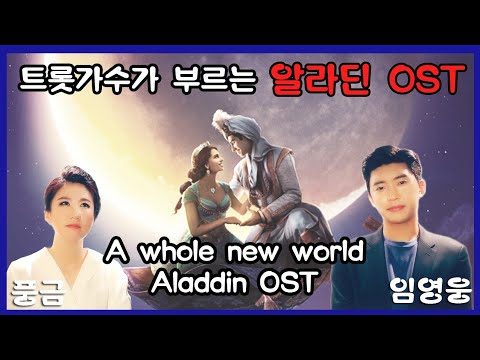 A Whole New World (Aladdin(알라딘)OST) 임영웅,풍금