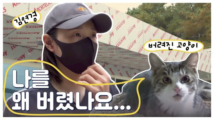 화염속에서 강아지들이 살아남을 수 있었던 이유