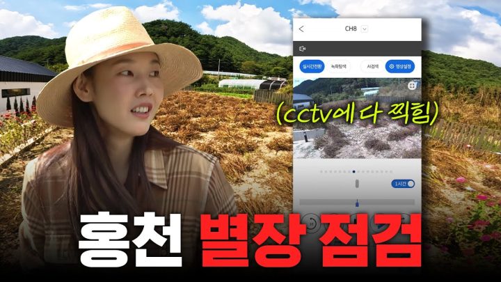 한혜진 별장 cctv에 찍힌 00? 가을맞이 홍천 별장 기습 점검🚨ㅣ무단침입, 허수아비, 고구마튀김 먹방