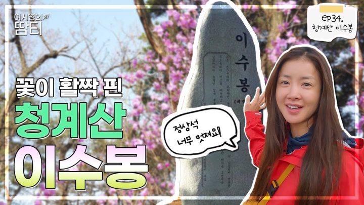 청계산을 수없이 많이 갔지만 '이수봉'은 처음이에요! 청계산 다른 코스 산행 :)