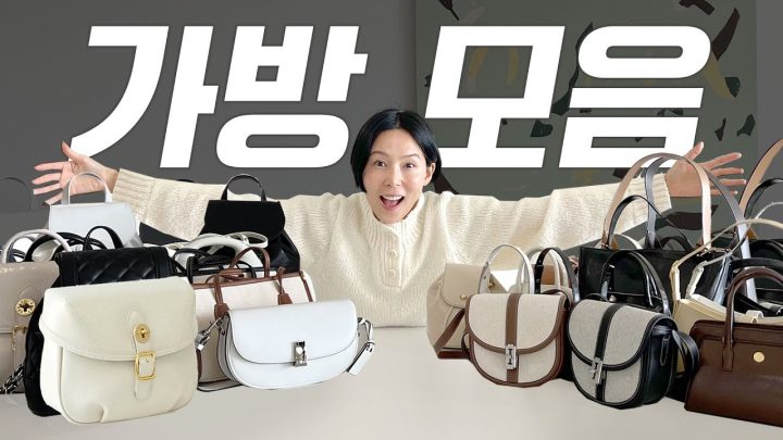 10~30만원대 매일 드는 데일리백 14종👜무게부터 스타일링까지 총정리