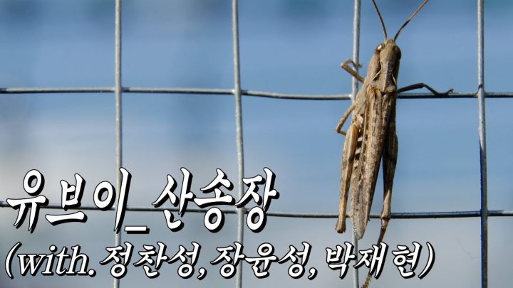 [한시간 듣기] 유브이 - 산송장 (with.정찬성,장윤성,박재현)