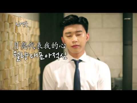 임영웅 - 월량대표아적심 月亮代表我的心 (등려군 鄧麗君 Deng Li Jun)