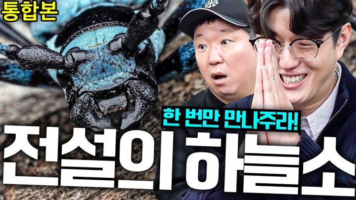 💵몸값 측정불가?!😱 유니콘급으로 보기 힘든 전설의 하늘소!!! ☎️찾으면 연락 주세요 반띵ㄱㄱ *통합본*