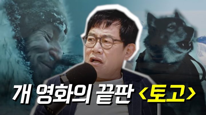 영하 50도의 혹한 속 1,000km를 달린 썰매견의 감동 실화 ㅣ 킬링무비 EP.05 ㅣ 토고, 디에고 알론소