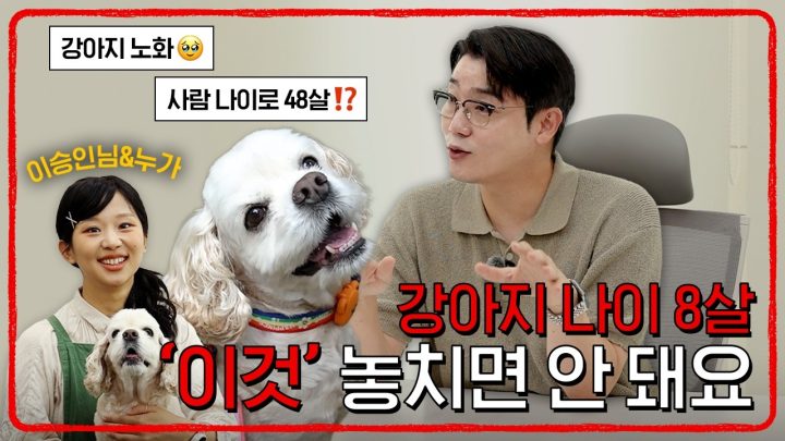 강아지에게도 골든 타임이라는게 있다고? 8살 놓치면 안되는 이유 🚨 | 설채현 행동학 수의사
