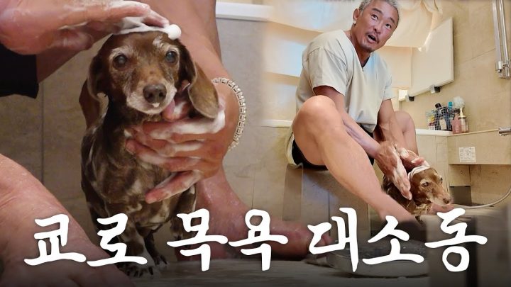 서열 4위(아조씨)가 3위(쿄로)를 온종일 보좌하는 하루 (ft.추씨패밀리 총출동)