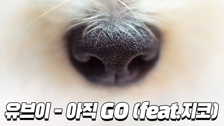 [한시간 듣기] 유브이 - 아직GO (feat.지코)