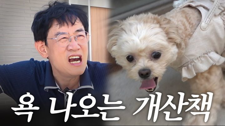 강아지랑 산책 다니다 결국 욕 터져나온 개버지 이경규의 하루 일과 최초공개