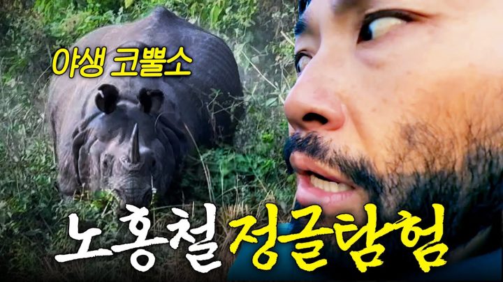 야생동물 가득한 정글 한복판에서 맨 몸으로 걸은 노홍철