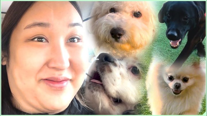 [다이어트브이로그5화] 아이들과 함께떠난 4주년 기념여행 DIET VLOG