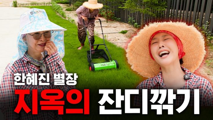 괜히 잔디 깔아서 생고생하네