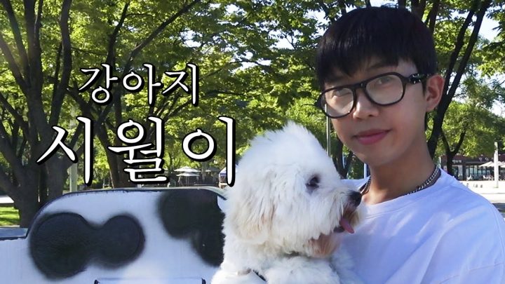 임영웅의 삶(을 가장한 시월이의 삶)..우리 강아지 최고 귀엽다🐶💥