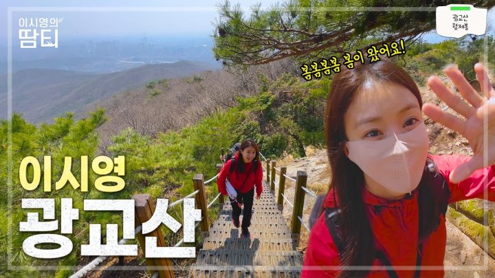 🌸 봄이 왔어요~ 수도권 가볍게 다녀오기 좋은 산! 광교산 형제봉