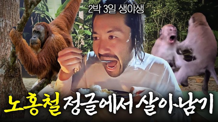 🦧멸종 위기 야생 오랑우탄 보러 정글에서 2박 3일 야외취침