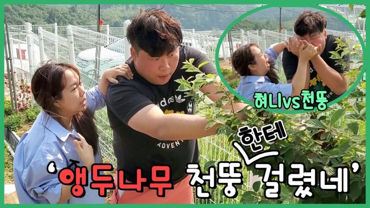 오늘도 평화로운 홍쓴패밀리 총 출동!!!!!!