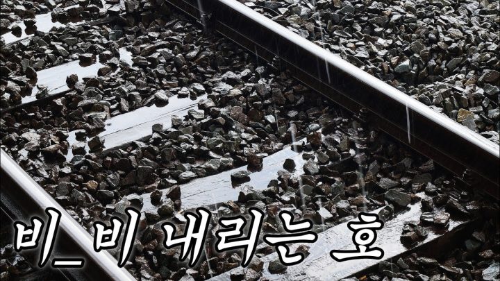 [한시간 듣기] 비 - 비 내리는 호