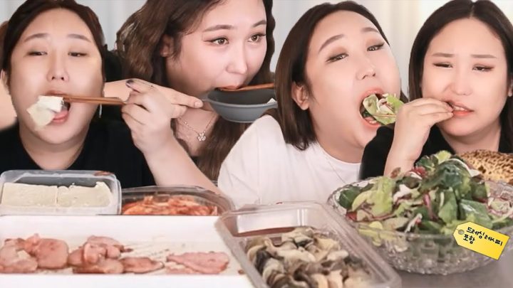퍽퍽하고 새하얀 다이어트먹방모음.zip [muckbang/eatingshow]