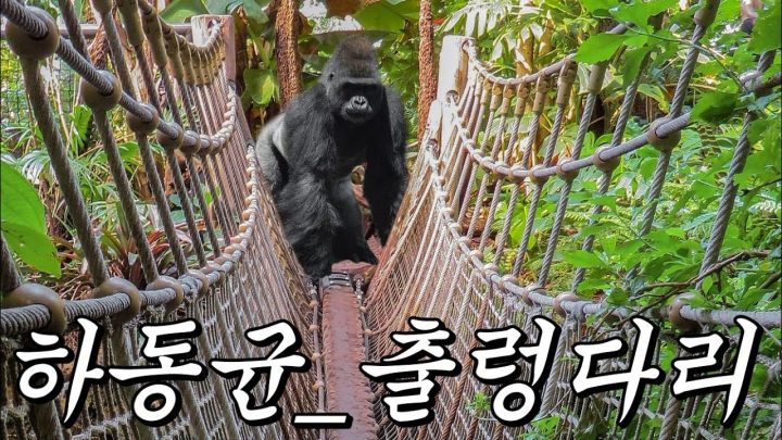 [한시간 듣기] 하동균 - 출렁다리