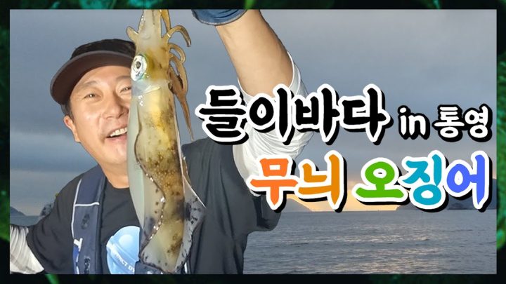[들이바다] 팁런 in통영 (feat. 무늬 오징어)