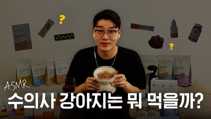 수의사가 10살 반려견 밥 차려주는 ASMR 🥣 (구강 관리Tip, 노령견 영양제, 간식 레시피) | 설채현 행동학 수의사