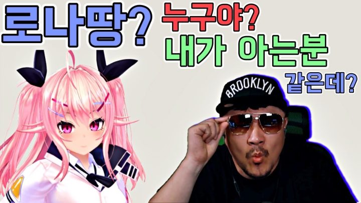 [데프콘] 로나로나땅?? 이 버튜버 내가 아는분 같은데 맞나요?