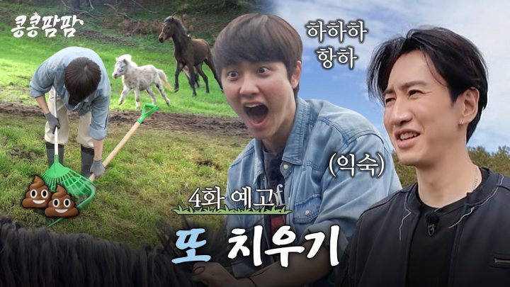 [4화 예고] 눈이 말똥말똥 해지는 두 번째 연수지, 말 목장에 왔습니다🏇 #콩콩팜팜 EP.4