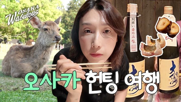 뭘 찾으라고? 나 지금 여행 왔는데? | 오사카 와부러스 ep1 (ENG SUB)
