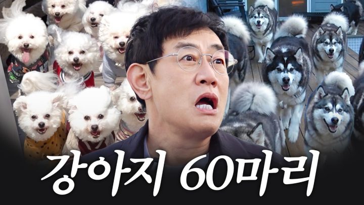 데뷔 45년 만에 다 정리하고 시골 내려가 강아지들과 살겠다는 이경규 (비숑 40마리, 말라뮤트 20마리)